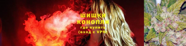 соль ск Нея