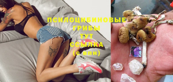 соль ск Нея
