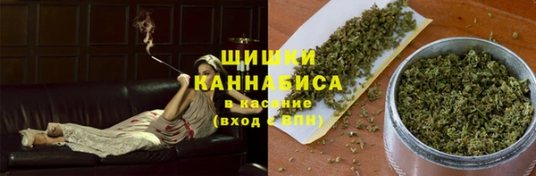 соль ск Нея